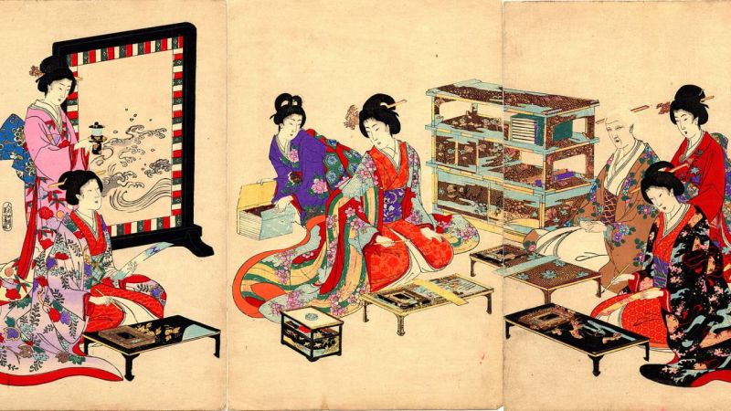 edo edo